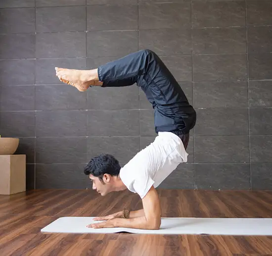 Yoga Services